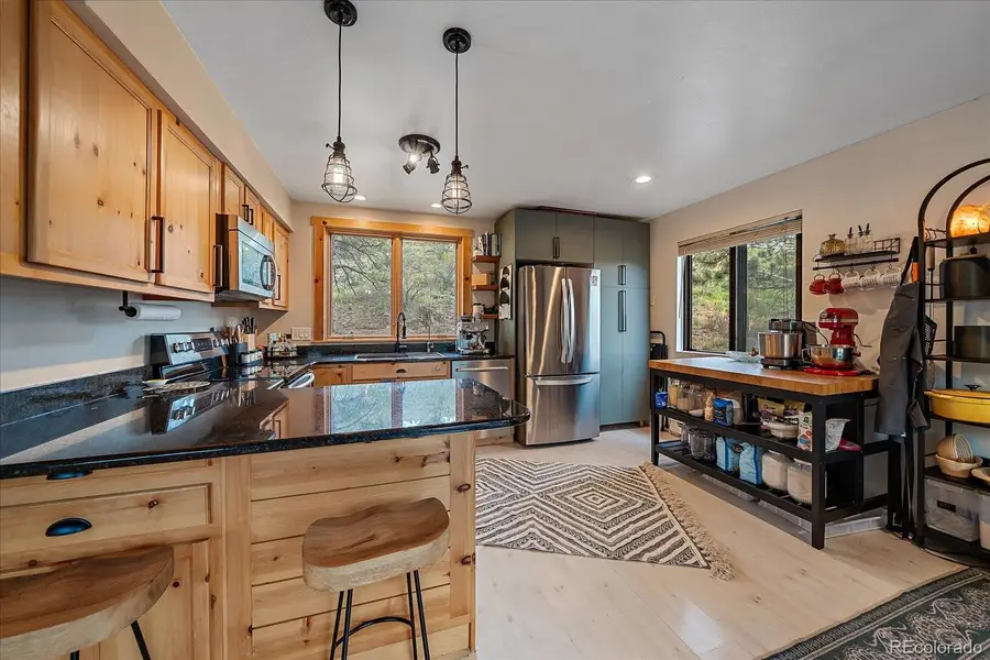12564 S Lora, Pine, CO 80470 - #3