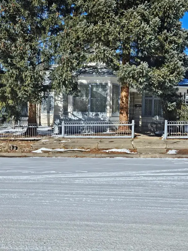 414 W 3rd Street, Leadville, CO 80461