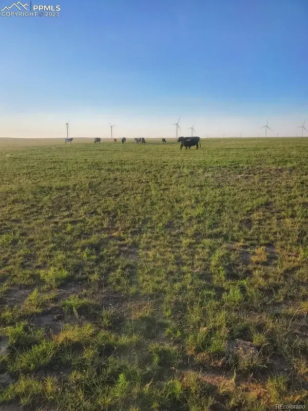 169 County Road, Matheson, CO 80830