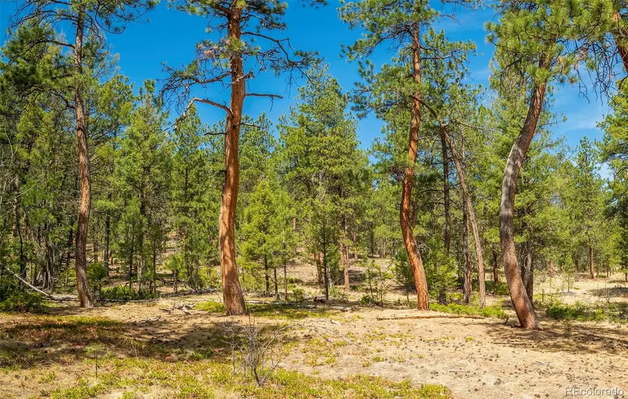 29700 S Sunset Trail, Conifer, CO 80433 - #3