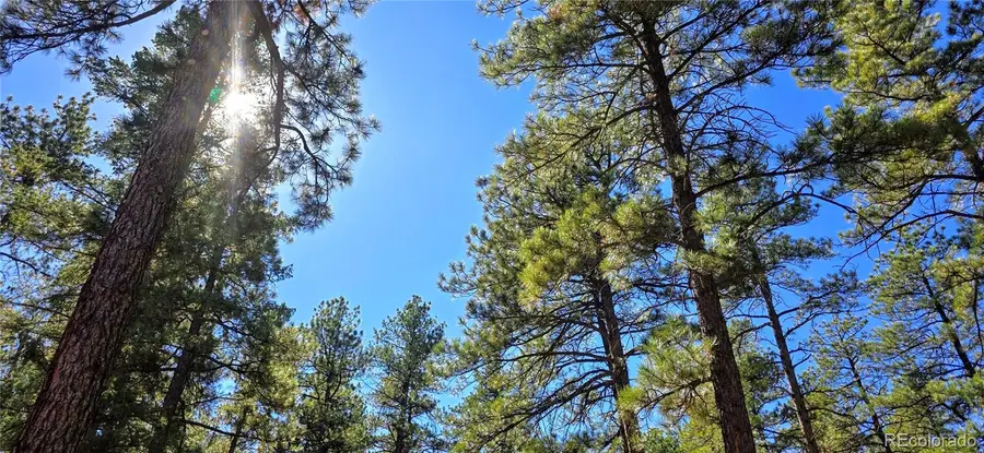 8057 Bannock Drive, Larkspur, CO 80118 - Image #3