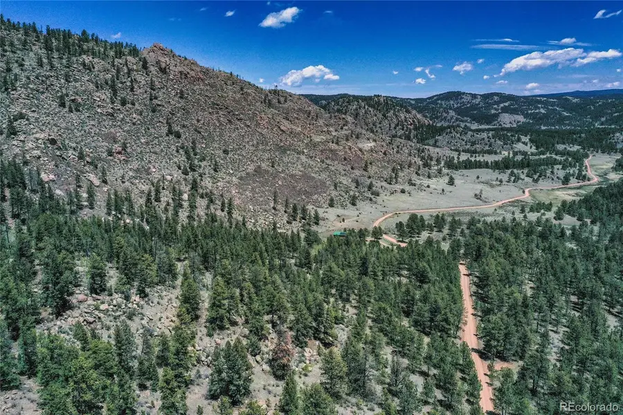 437 Langnis Road, Guffey, CO 80820 - #3