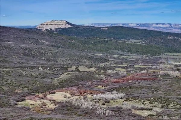 5962 Highway 65, Mesa, CO 81643