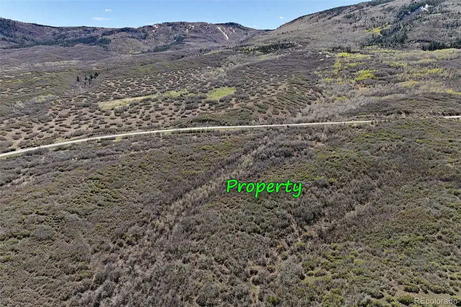 5962 Highway 65, Mesa, CO 81643 - #3