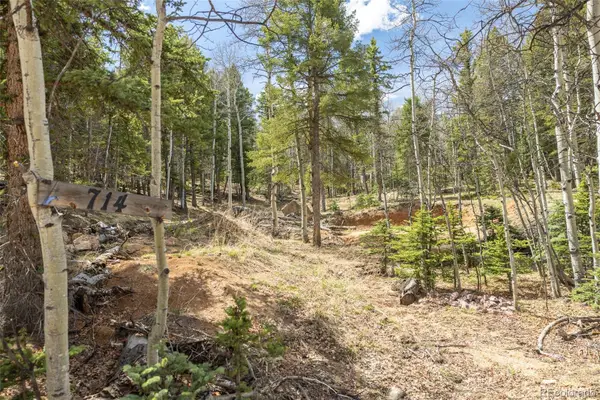 714 Will Stutley Drive, Divide, CO 80814
