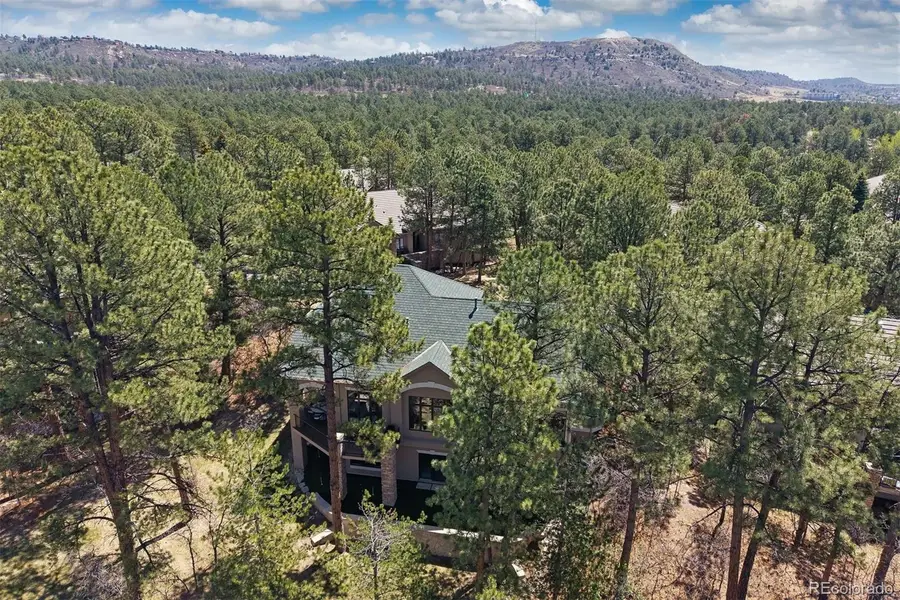 4511 Silver Cliff Court, Castle Rock, CO 80108 - #3