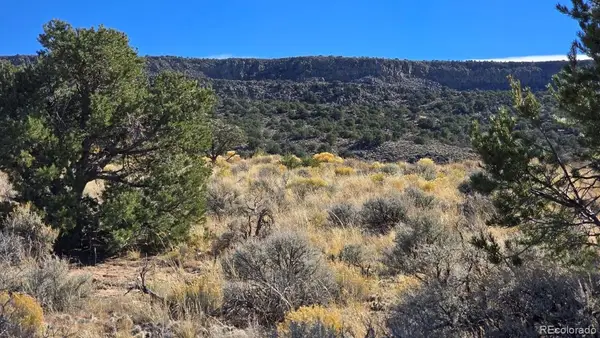 Parcel 10 Cavalry Trail, San Luis, CO 81152