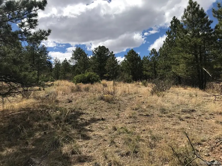 2871 Marcey Road, Westcliffe, CO 81252 - #2