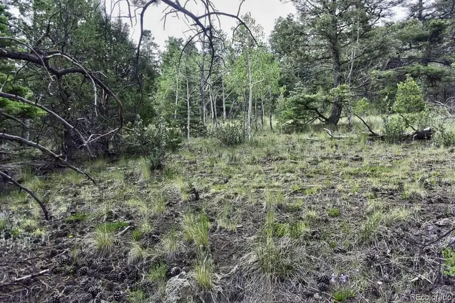 2871 Marcey Road, Westcliffe, CO 81252 - #3