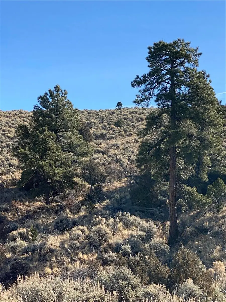 Lot 4828 Spencer Road, Fort Garland, CO 81133 - Image #2