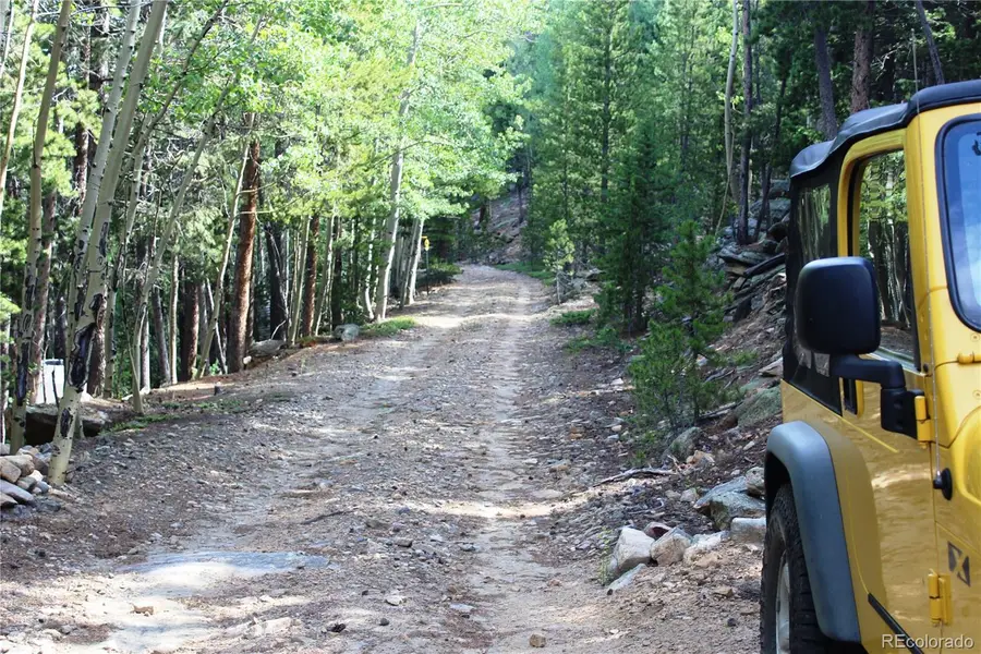3504 Hidden Wilderness Road, Idaho Springs, CO 80439 - #3