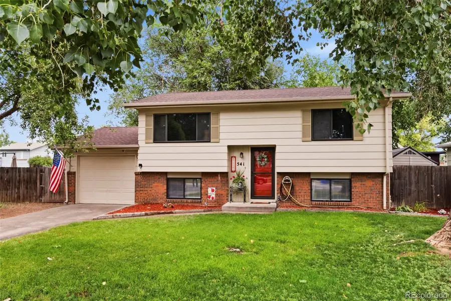 541 Sycamore Drive, Windsor, CO 80550 - #2