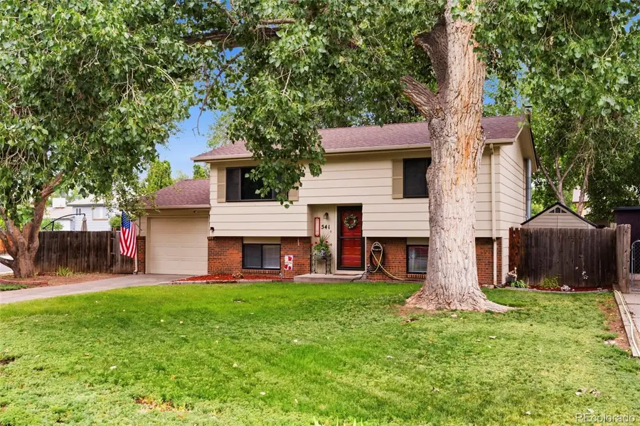 541 Sycamore Drive, Windsor, CO 80550 - #3
