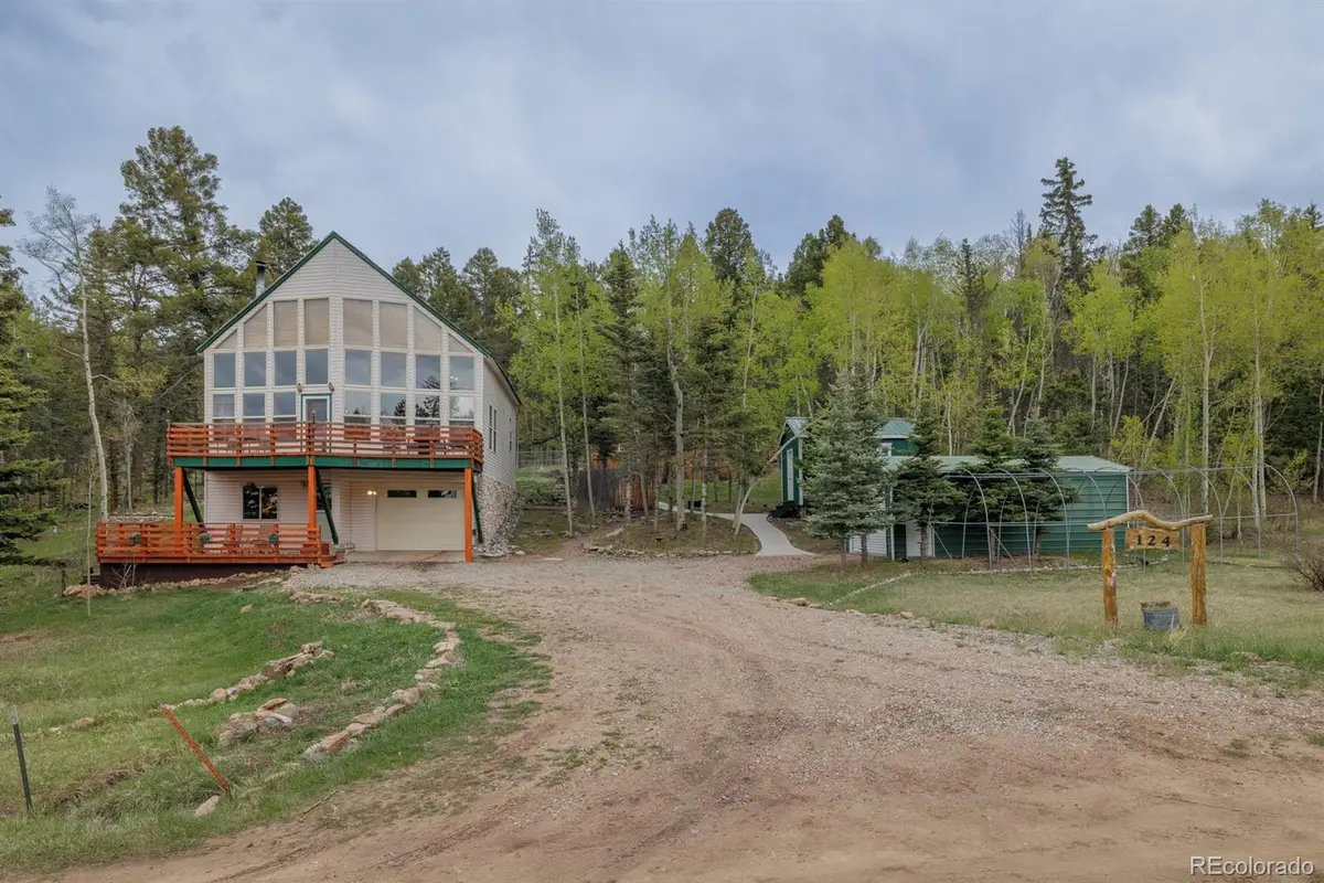 124 Bear Trail, Lake George, CO 80827 - #1