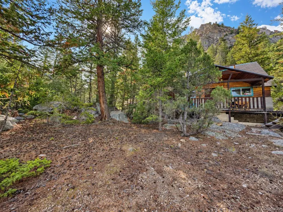15 Junction Loop, Empire, CO 80438 - #3