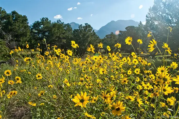 1195 Hilltop Way, Crestone, CO 81131