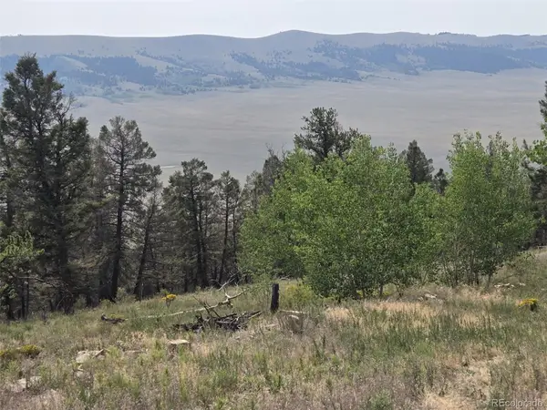 Lot 525 Middle Fork Vista, Fairplay, CO 80440