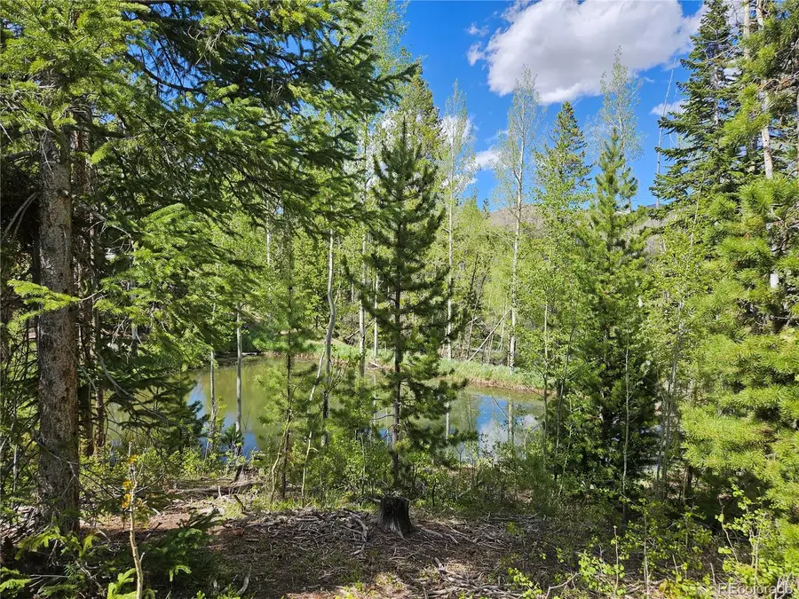 134 Mad Moose Lane, Grand Lake, CO 80447 - #2