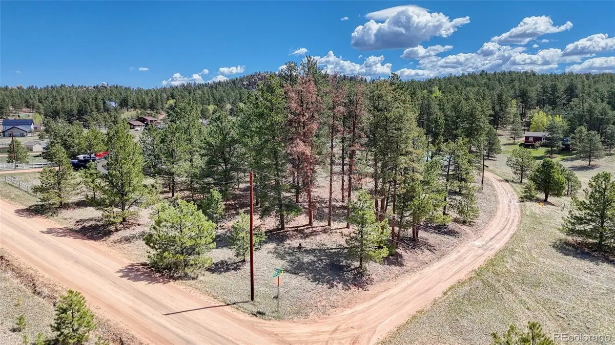 212 Obsidian Drive, Florissant, CO 80816 - #1