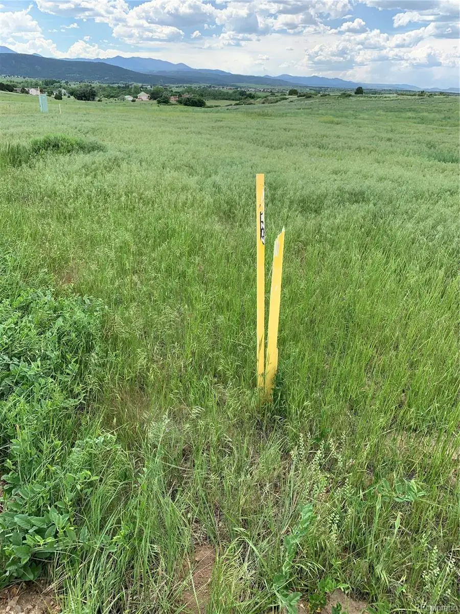 Columbine Street, Colorado City, CO 81019 - #3