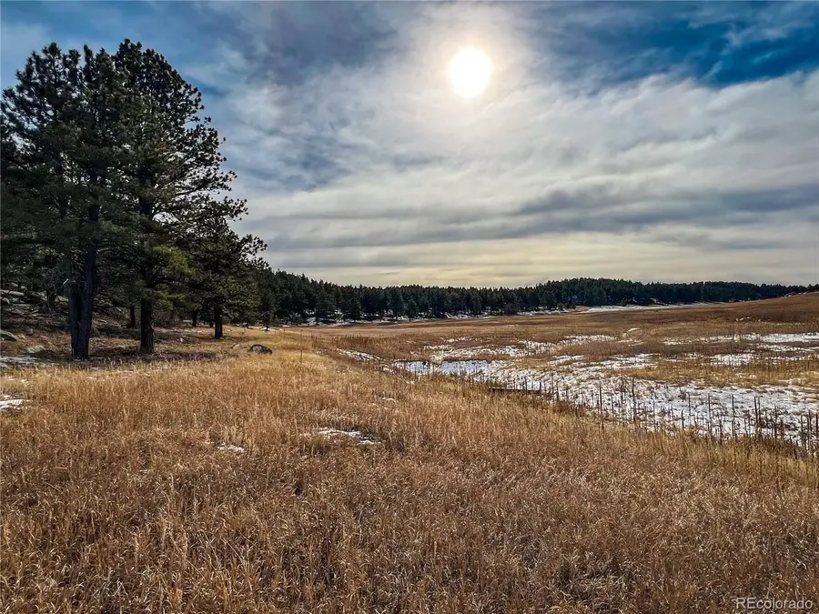 10555 Big Sky Trail, Elbert, CO 80106 - #3