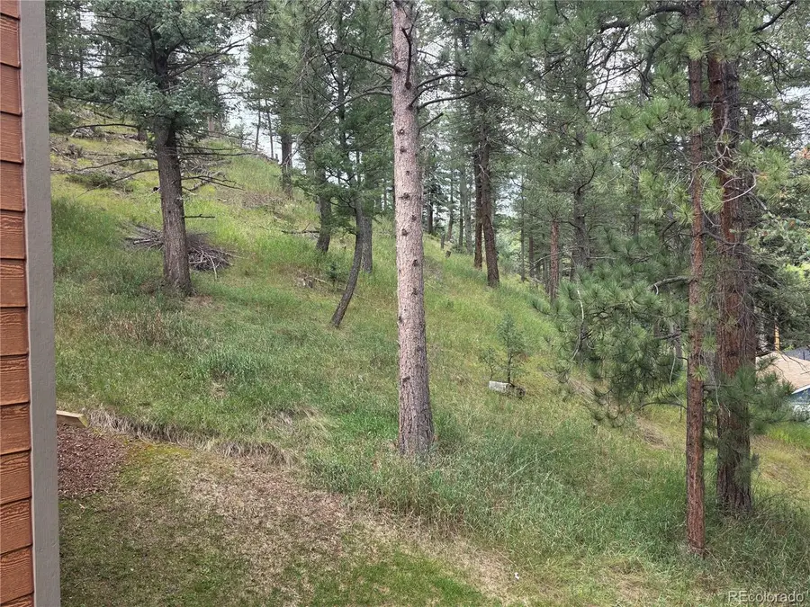 4897 Silver Spruce Lane, Evergreen, CO 80439 - #3