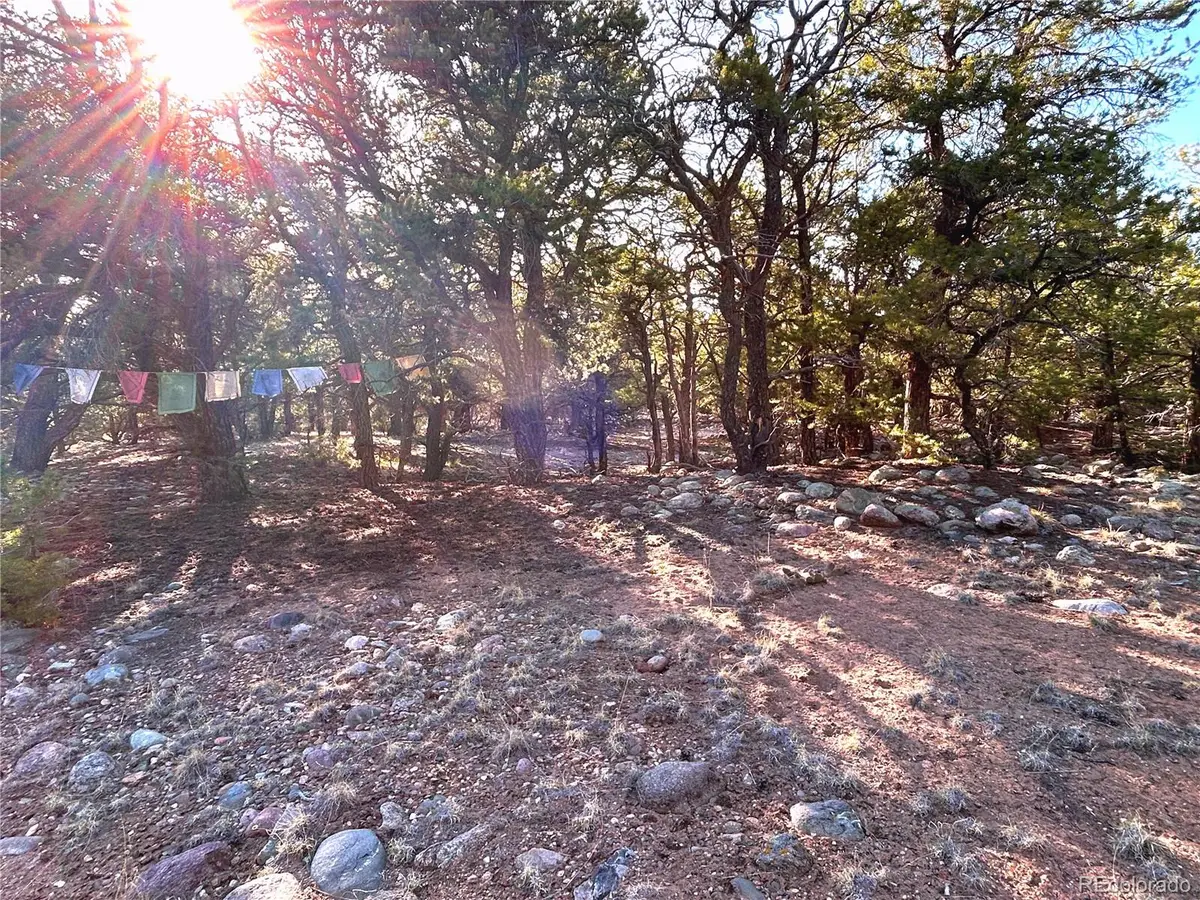 3821 Virtue Way, Crestone, CO 81131 - #1