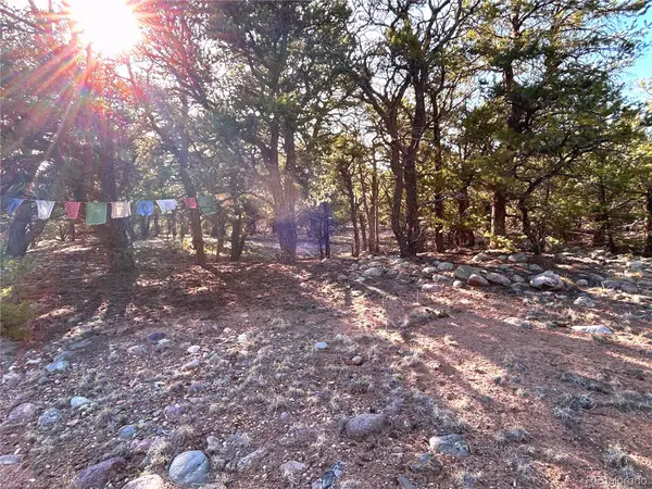 3821 Virtue Way, Crestone, CO 81131