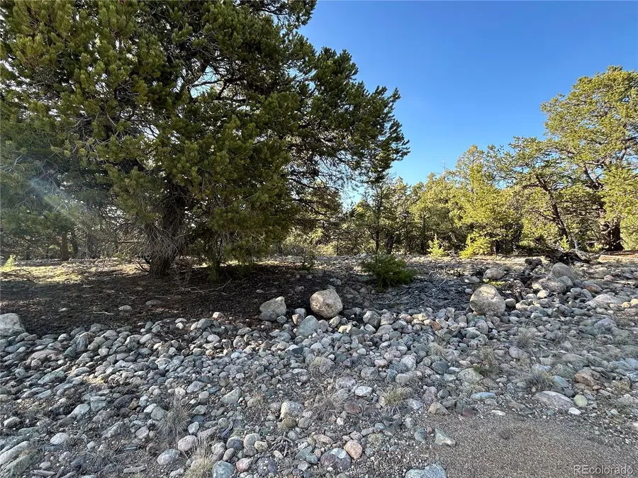 3821 Virtue Way, Crestone, CO 81131 - #2