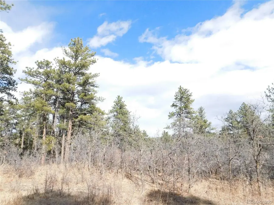 8122 Acoma Drive, Larkspur, CO 80118 - #3