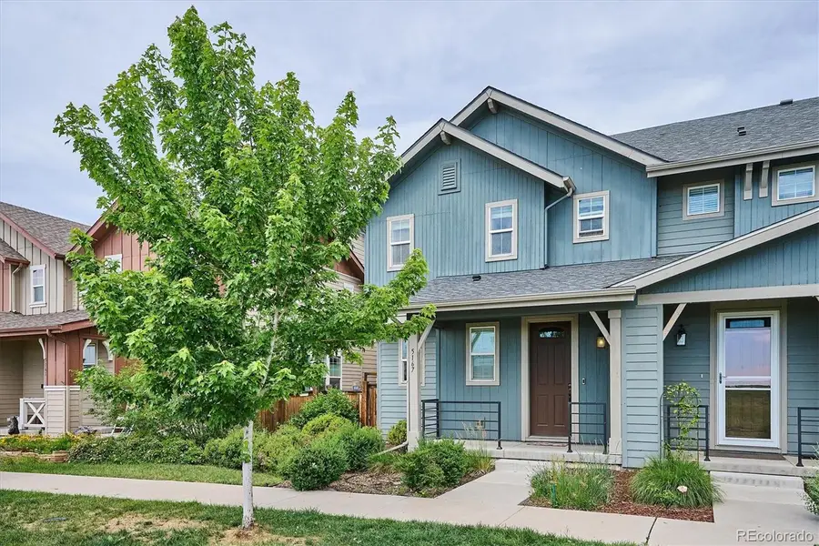 5167 Clinton Street, Denver, CO 80238 - #3