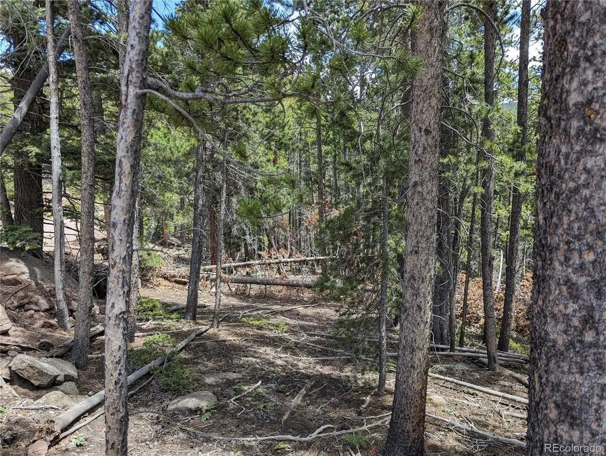 3159 Purnell Lane, Fort Garland, CO 81133 - #1