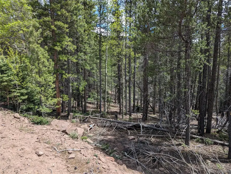 3159 Purnell Lane, Fort Garland, CO 81133 - #3