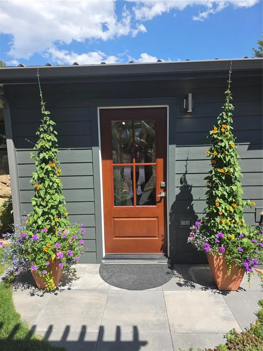 62 N Cowles Street, Empire, CO 80438 - #2