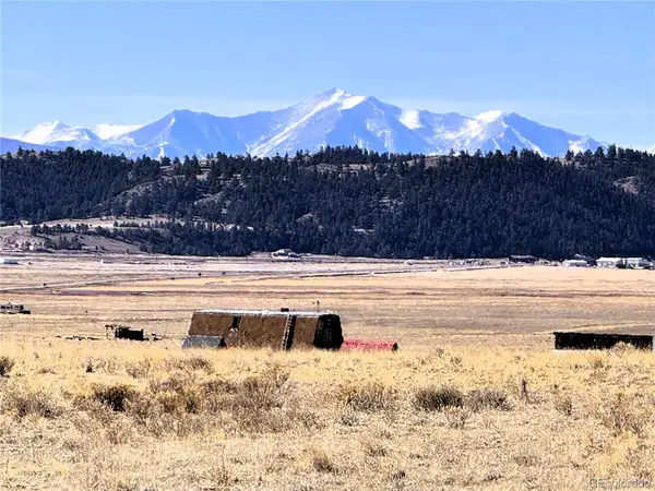 1561 Hinsdale Road, Hartsel, CO 80449