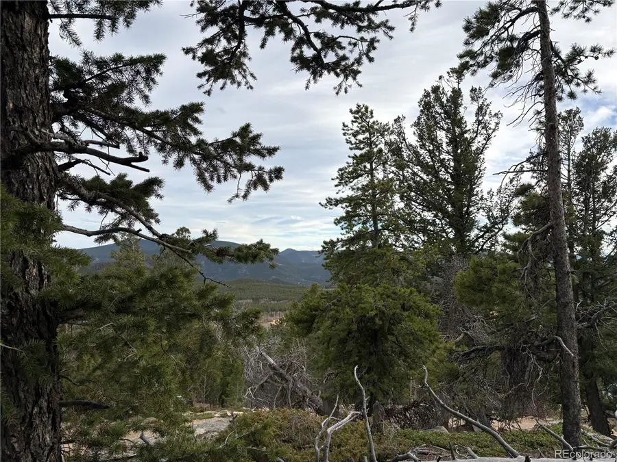 34251 Skyline Drive, Golden, CO 80403 - #2