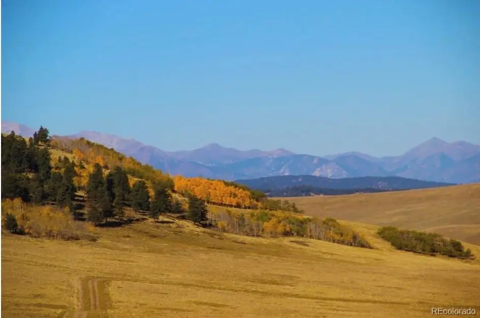 1245 Coochee Trail, Guffey, CO 80820 - #1