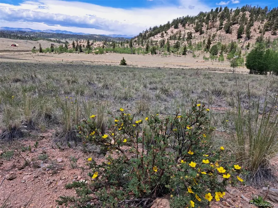 109 Chippewa Road, Como, CO 80432 - #3