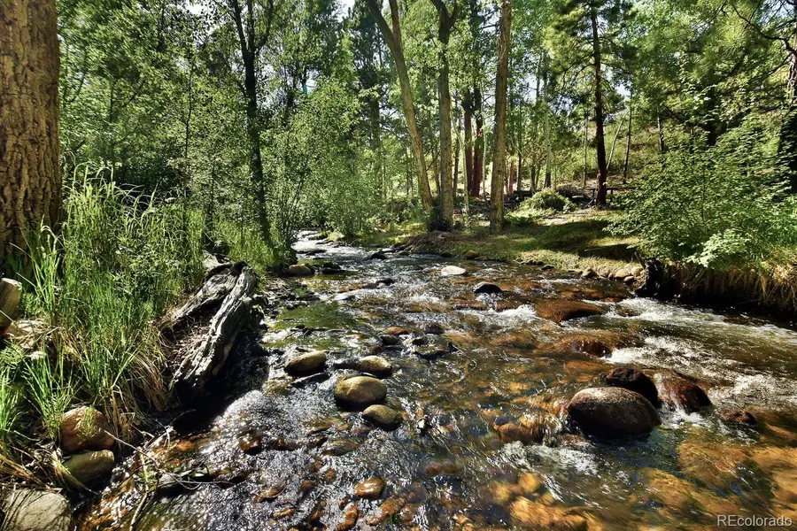 13535 County Road 261c, Nathrop, CO 81236 - #3