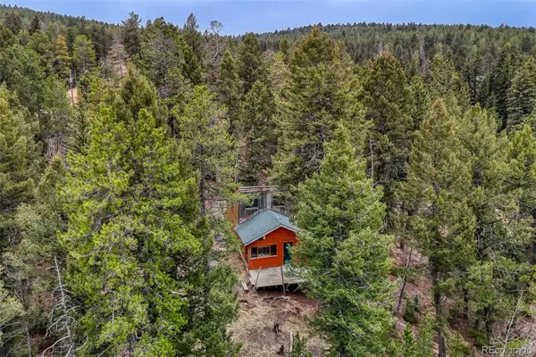12096 Elk Trail Road, Conifer, CO 80433