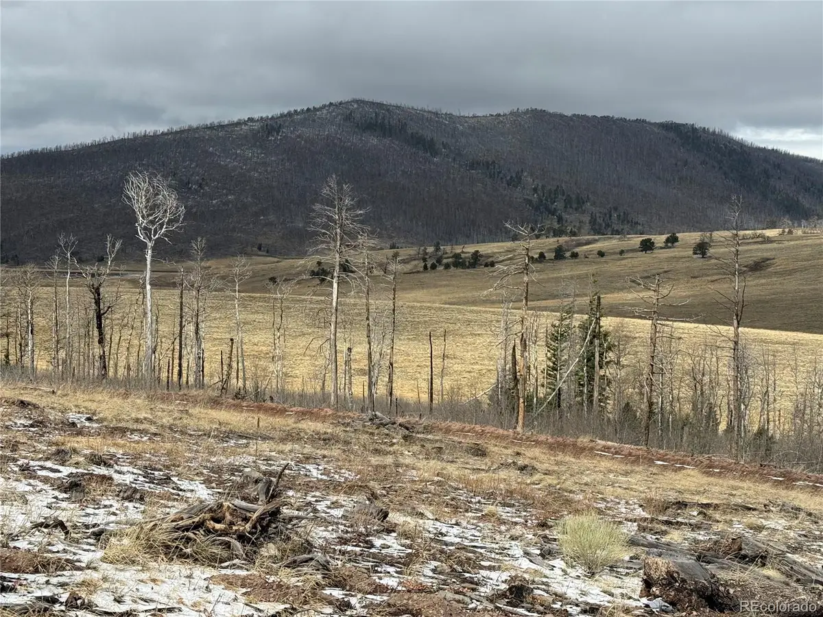 Lot 2415 Petito Drive, Fort Garland, CO 81133 - #1