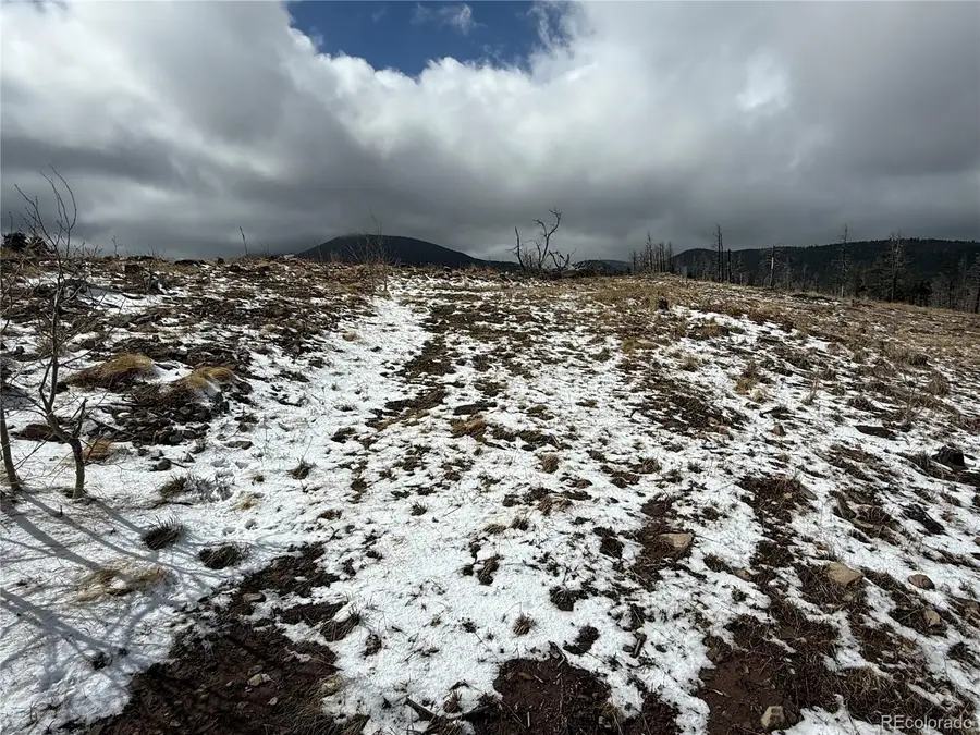 Lot 2415 Petito Drive, Fort Garland, CO 81133 - #2