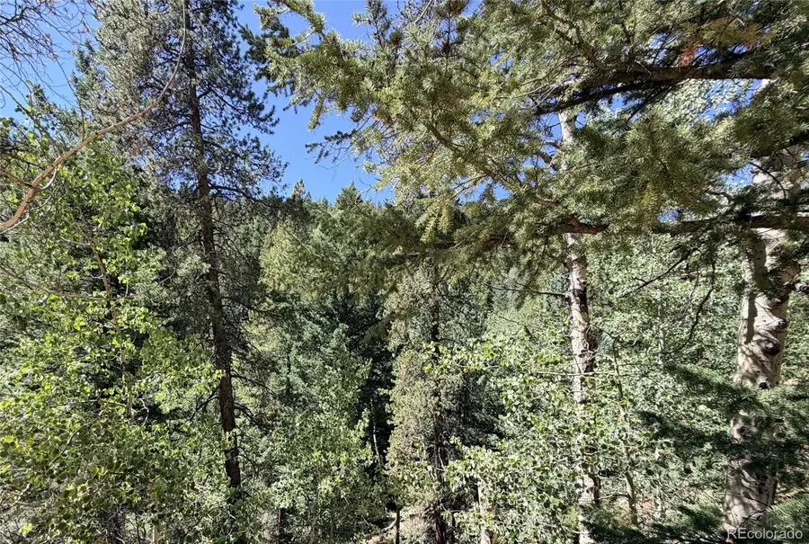 000 Silver Dollar Lode, Georgetown, CO 80444 - #2