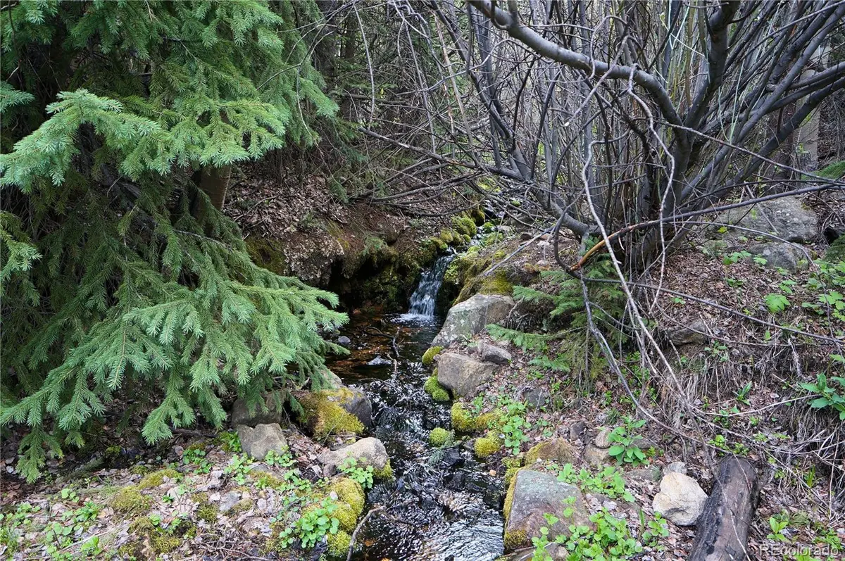 000 Trail Creek Road, Idaho Springs, CO 80452 - #1