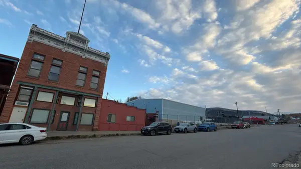 118 W 2nd #F, Leadville, CO 80461