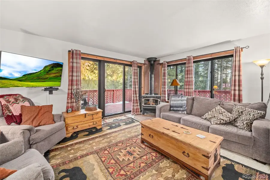 838 Silver Creek Road, Idaho Springs, CO 80452 - #3