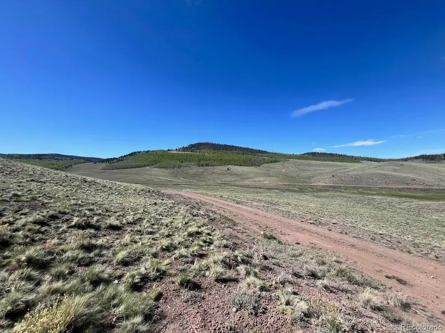 110 Watonga Road, Lake George, CO 80449 - #2