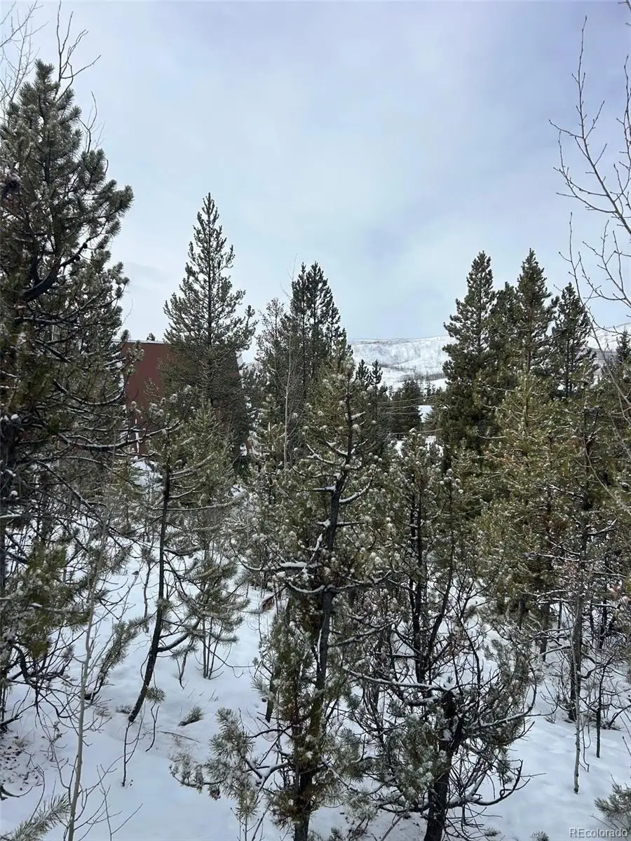 114, 122 Mustang Trail, Grand Lake, CO 80447 - Image #2