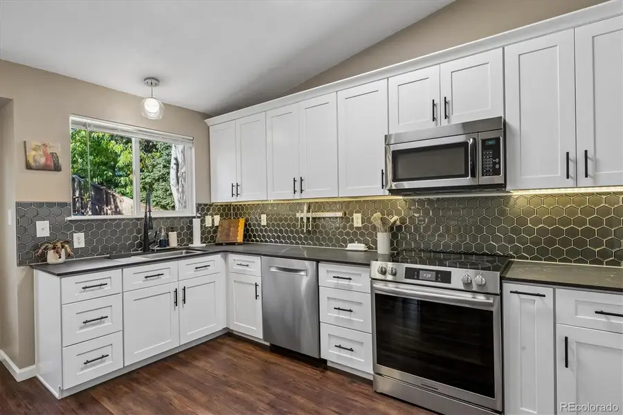 9925 Apollo Bay, Highlands Ranch, CO 80130 - #3
