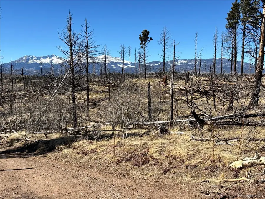 00 Marriot Circle, Fort Garland, CO 81133 - #2